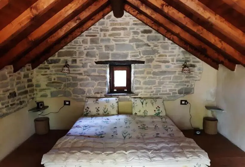 Suite, Ca  D Alfieri