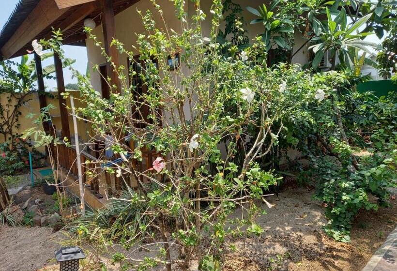 エコノミーシングルルーム, Arnel Bungalows