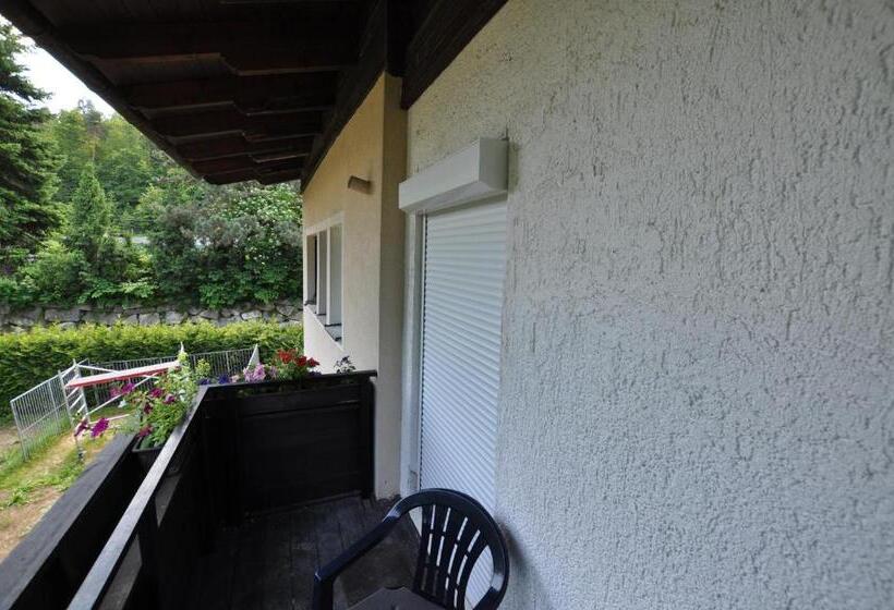 استودیوی استاندارد, Kärnten Appartements