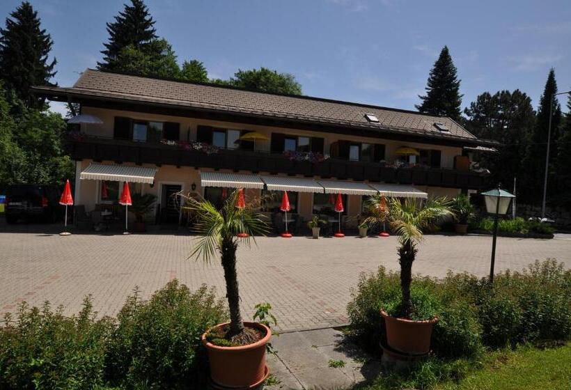 آپارتمان 1 خوابه با بالکن, Kärnten Appartements
