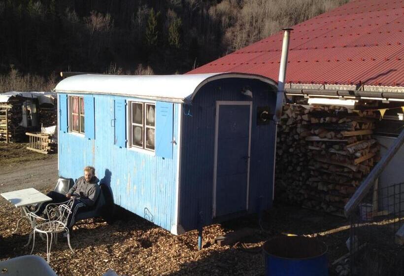 スタンダードルーム, Evergrin