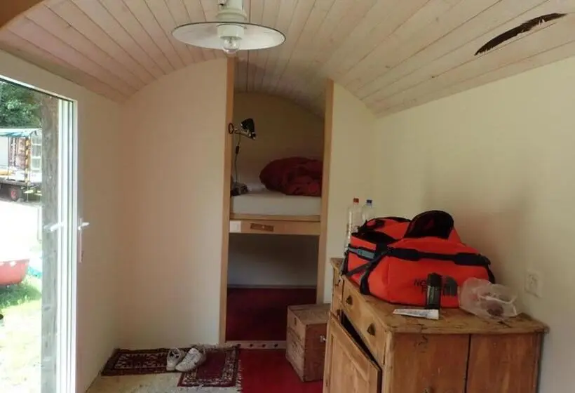 Habitació Quàdruple Estàndard, Evergrin