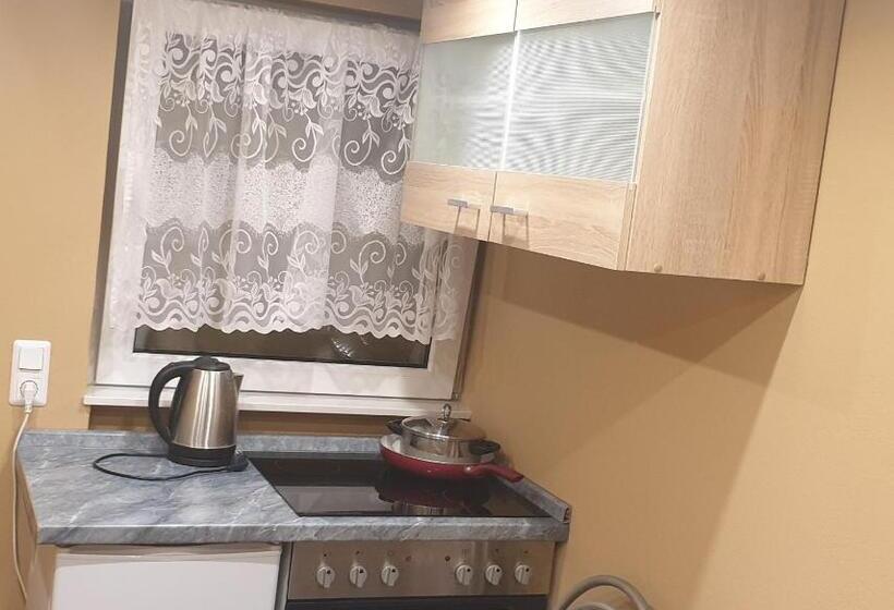 Номер Стандарт Индивидуальный, Workershome   Business Apartments   Monteurwohnungen