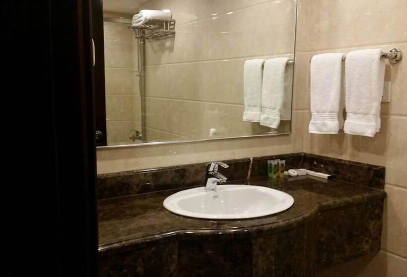 豪华单人间, Al Hyatt Jeddah Continental