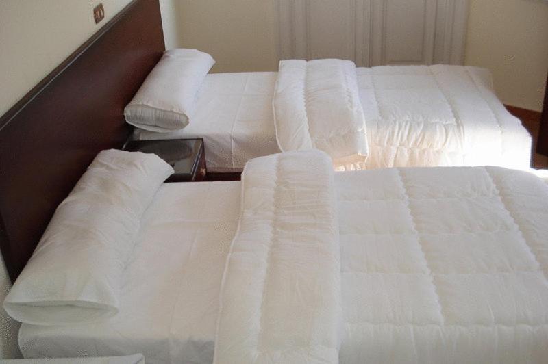 اتاق استاندارد, Transit Alexandria Hostel