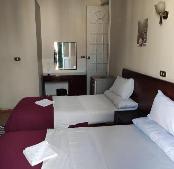 اتاق سوپریور, Transit Alexandria Hostel