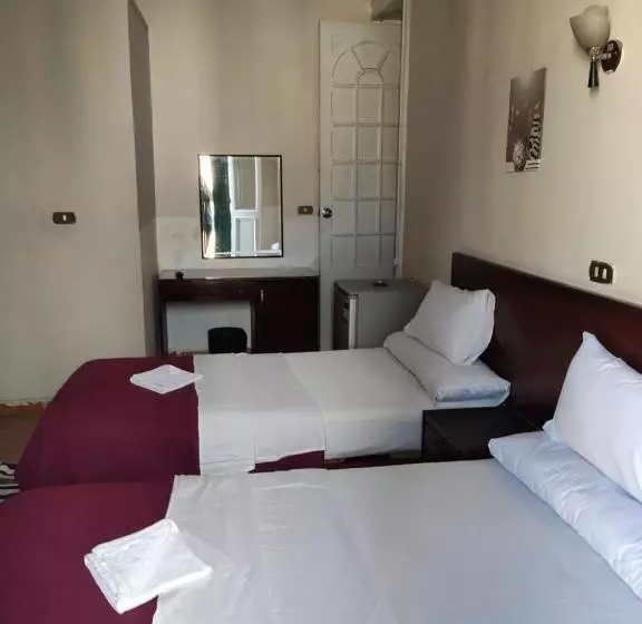 اتاق سوپریور, Transit Alexandria Hostel