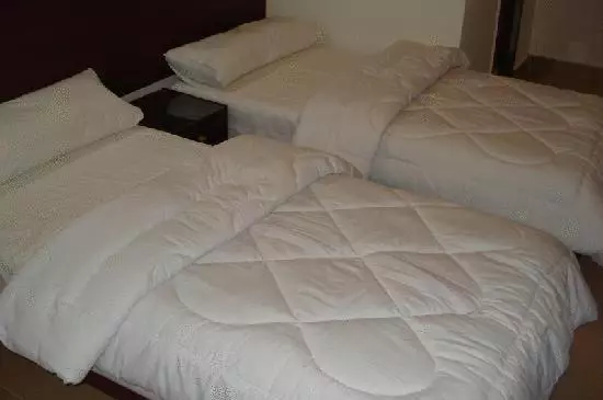 اتاق استاندارد سه نفره, Transit Alexandria Hostel