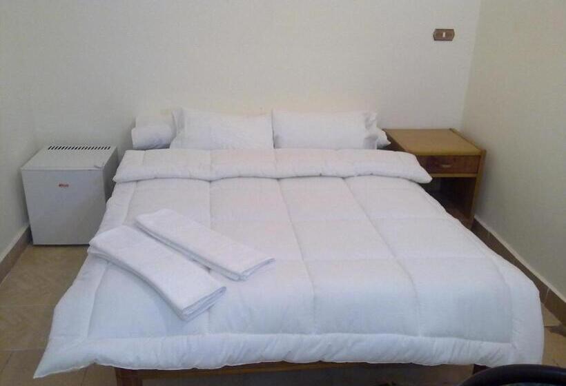 اتاق استاندارد یک نفره, Transit Alexandria Hostel