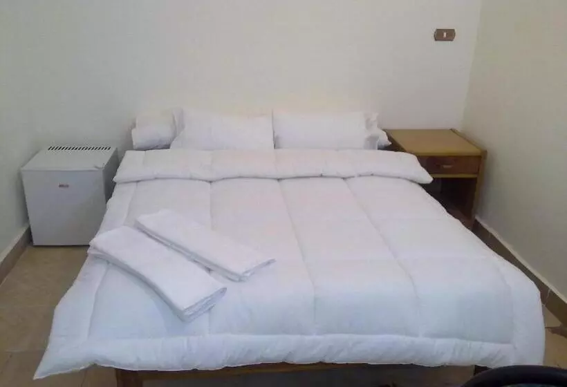 اتاق استاندارد یک نفره, Transit Alexandria Hostel