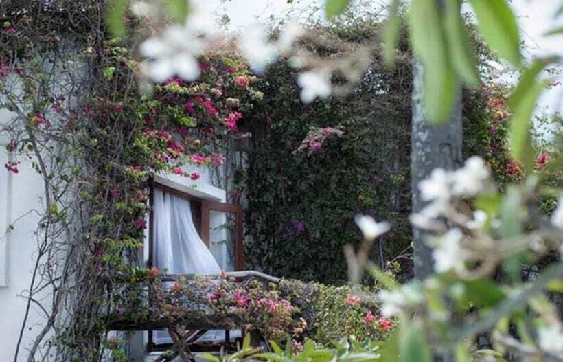 اتاق لوکس, My Blue