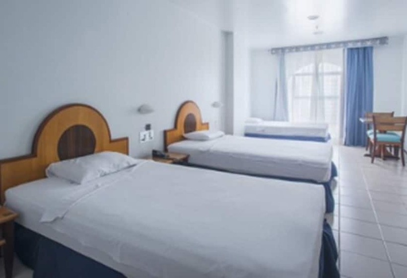 수피리어 룸, Resort Rio Poty