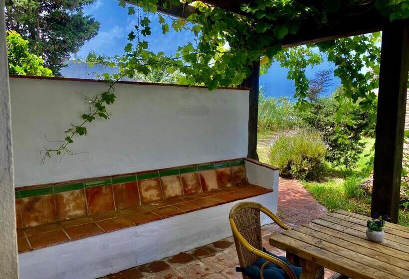 Quarto Economy, Spirit Garden Tarifa