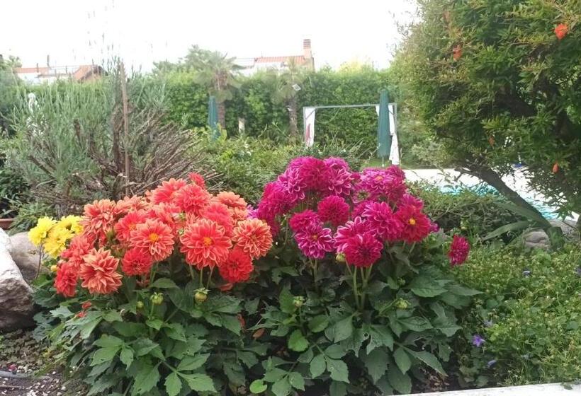 إستوديو سوبيريور, Villa Magnolia Garda Lake