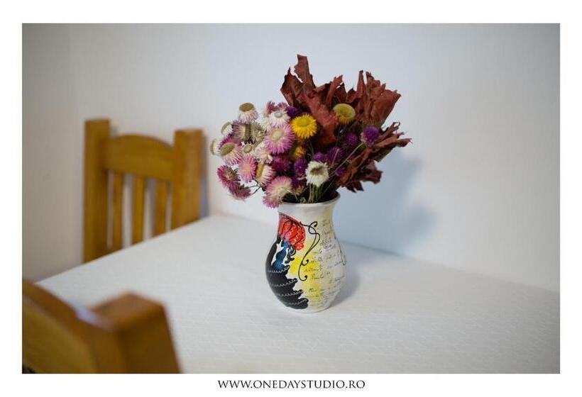 Номер Стандарт, Agropensiunea Valea Fagilor