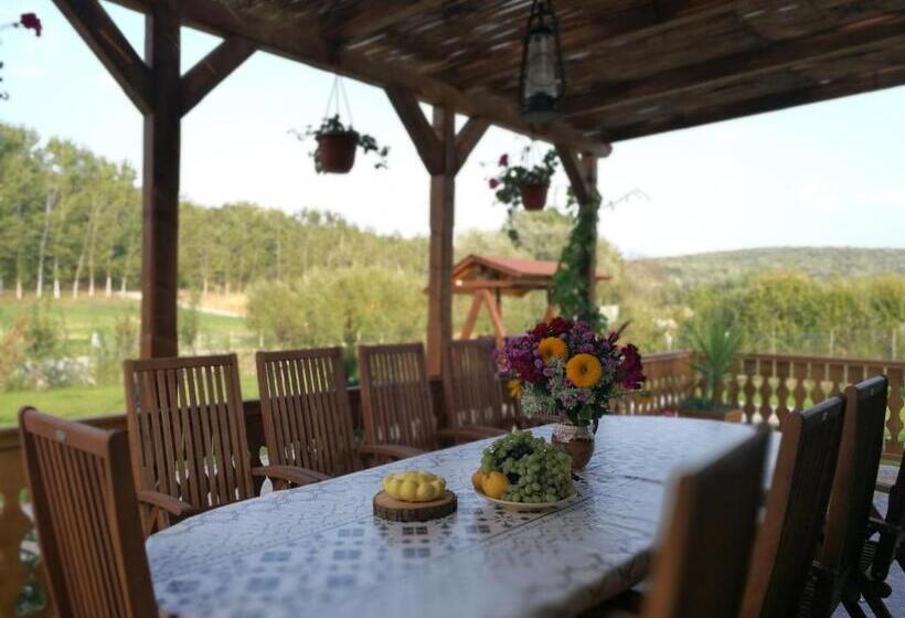 Дом 4 Спальни, Agropensiunea Valea Fagilor