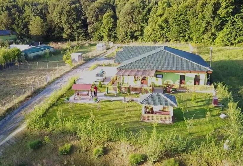 Дом 4 Спальни, Agropensiunea Valea Fagilor
