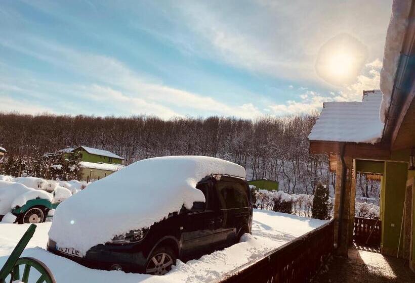 Номер Стандарт, Agropensiunea Valea Fagilor