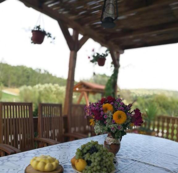 Дом 4 Спальни, Agropensiunea Valea Fagilor