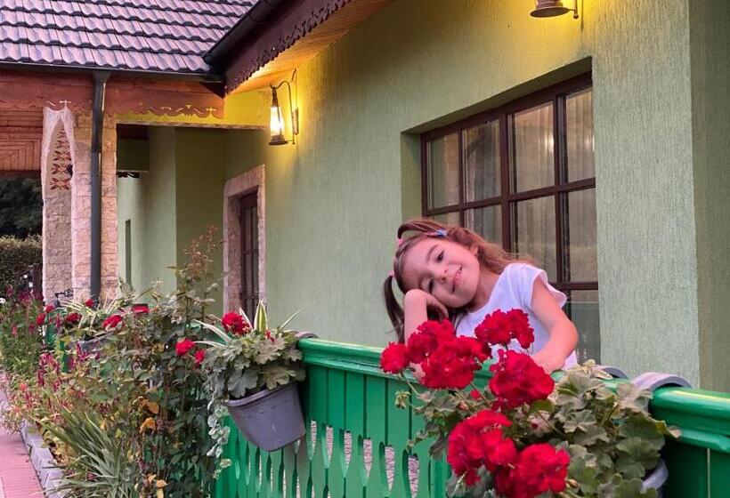 Дом 4 Спальни, Agropensiunea Valea Fagilor