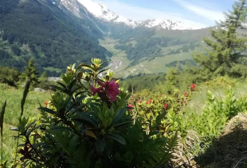 آپارتمان 1 خوابه با چشم‌انداز, Himmenhof