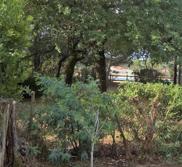 标准房带园景, B&b Mob Mimizan On The Beach