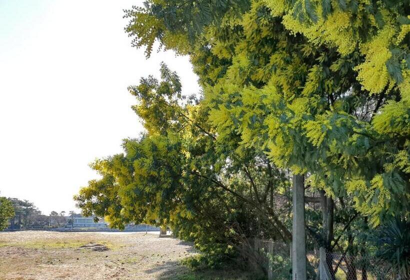 标准房带园景, B&b Mob Mimizan On The Beach