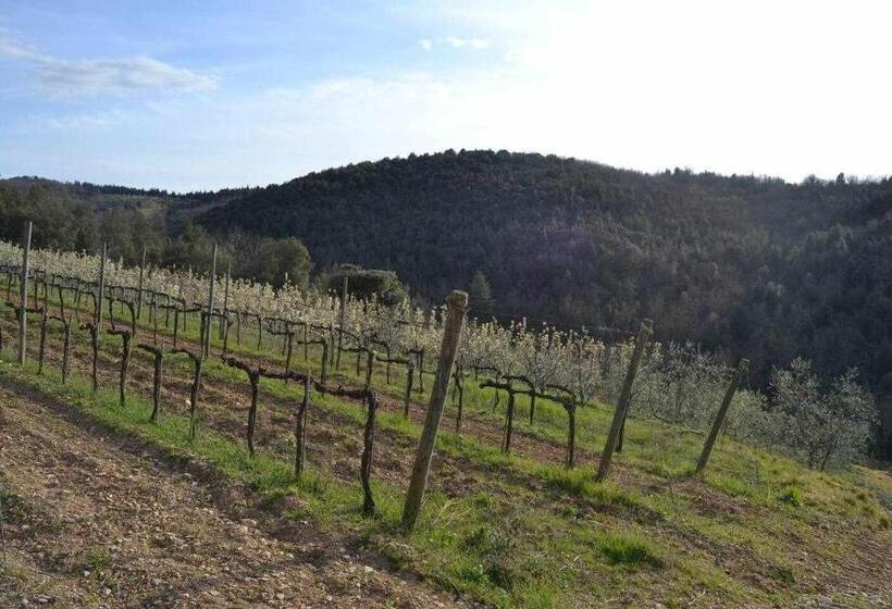 דירת שני חדרים, Agriturismo San Silvestro