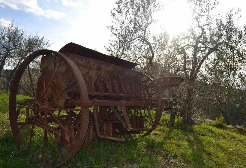 דירת שני חדרים, Agriturismo San Silvestro