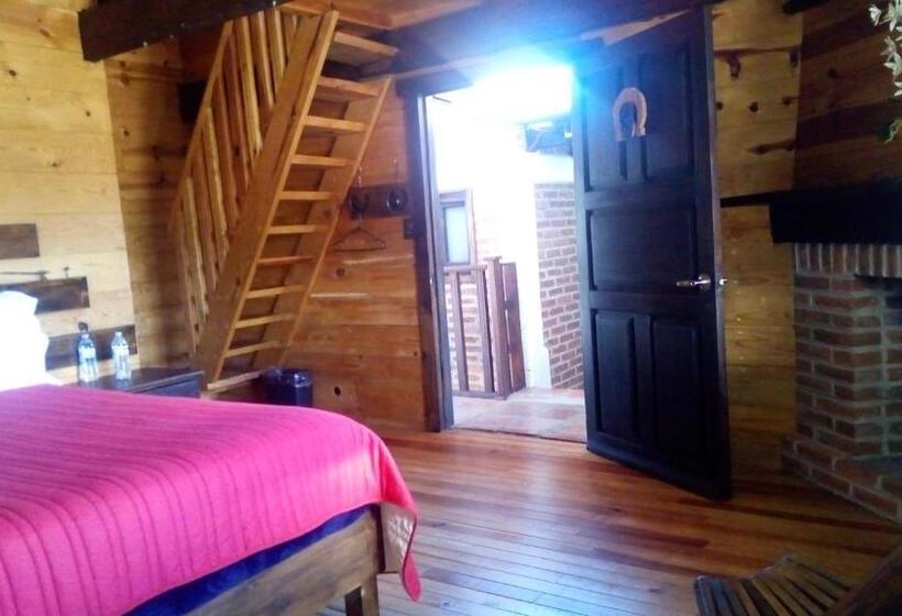 Standart Oda, Hospedaje Herradura