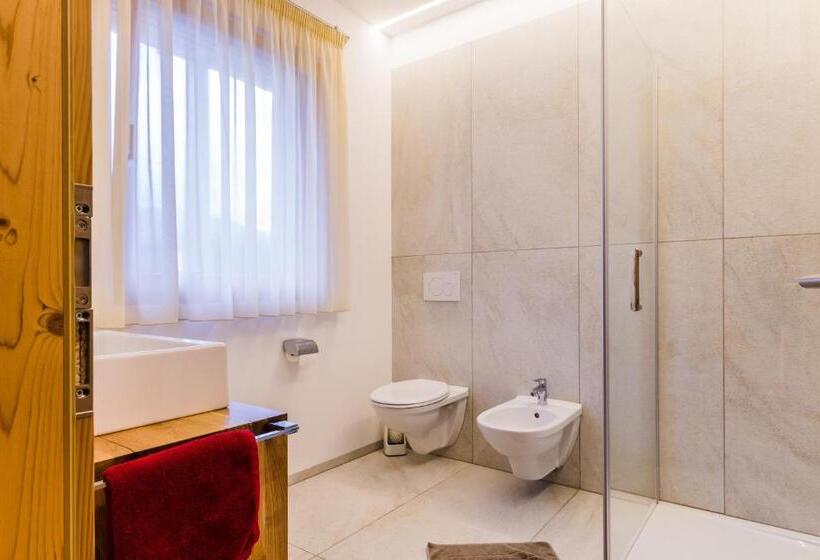 דירת חדר עם טרסה, Praitladhof