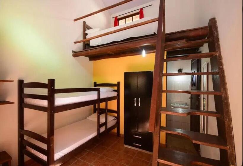 标准间, Cantinho Dos Aquários