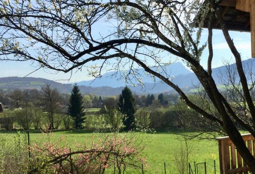 1ベッドルームのスーペリアアパートメント, Antre Lacs