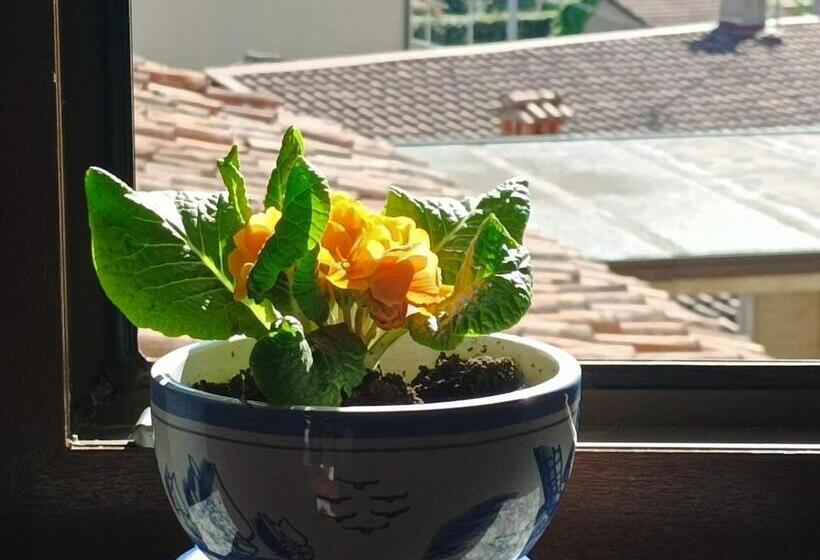 סוויטה משפחתית, Bed And Breakfast Da Pio