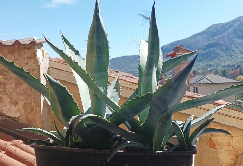 סוויטה משפחתית, Bed And Breakfast Da Pio