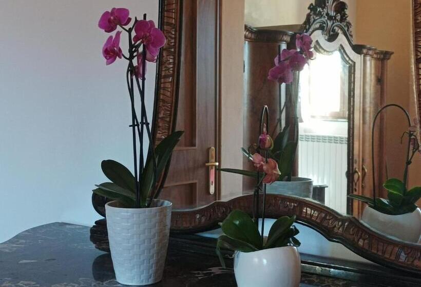 סוויטה משפחתית, Bed And Breakfast Da Pio