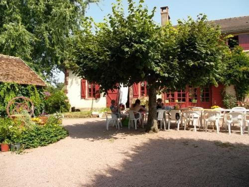 חדר סטנדרט, Cardamome