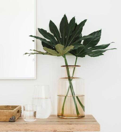 주니어 스위트 발코니, O Lugar