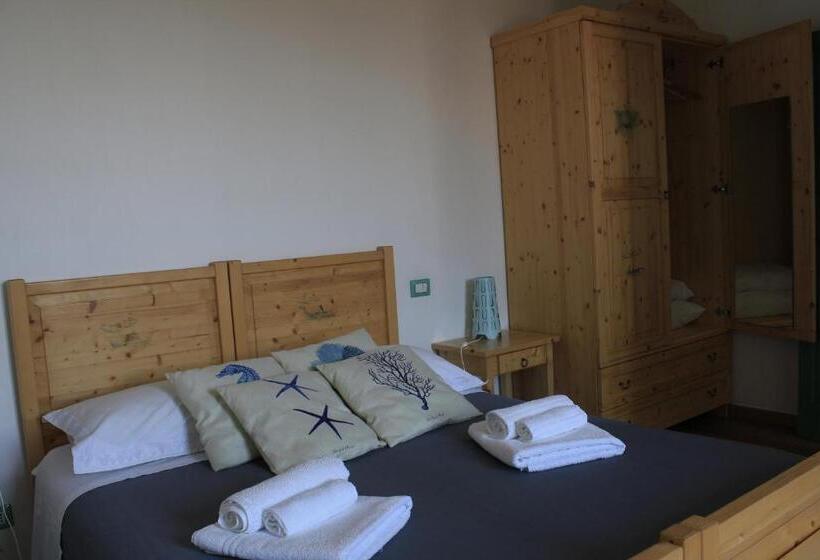 Standard Værelse, Elementa