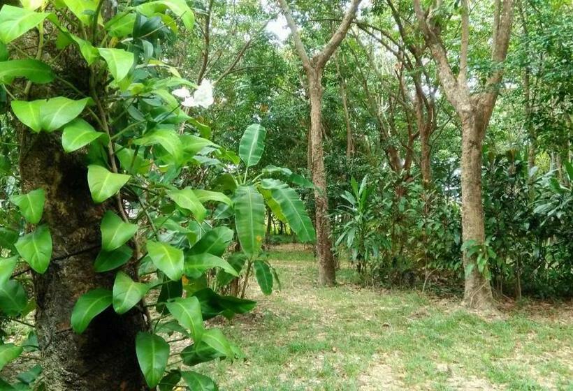 غرفة قياسية مطلّة علي الحديقة, Dugong Koh Sukorn