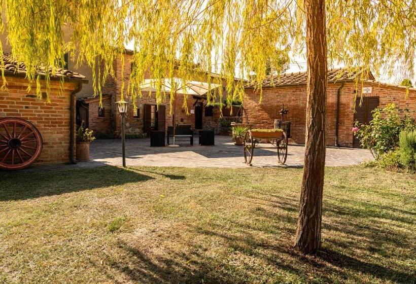 غرفة قياسية, Borgo Terrosi