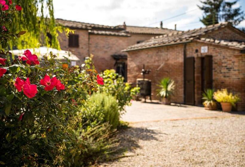 غرفة قياسية, Borgo Terrosi