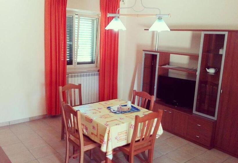 Номер Стандарт, Nenna Country