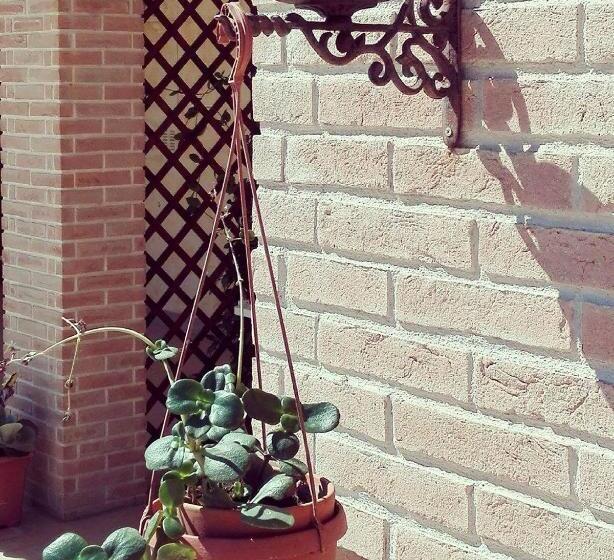 Номер Стандарт, Nenna Country