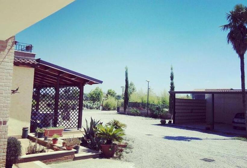 Номер Стандарт, Nenna Country