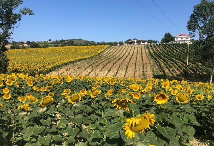 غرفة قياسية, Tenuta Morganti