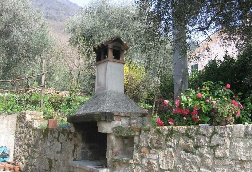 استودیو خانوادگی, Il Castagneto