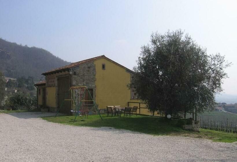 استودیو خانوادگی, Il Castagneto