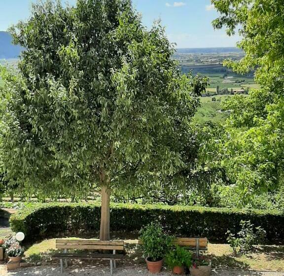 ファミリーステューディオ, Il Castagneto