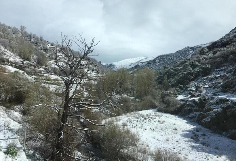 テラス付き１ベッドルームアパートメント, Hostal Mulhacen